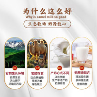 边疆黄金1000g无蔗糖添加骆驼奶粉益生菌高钙儿童成人奶粉中老年蛋白粉 1000g【2罐礼盒装+奶片1盒】