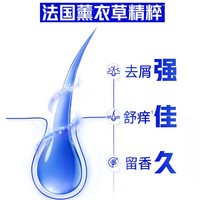 海飞丝舒痒水润洗发水 薰衣草精粹舒缓止痒去屑留香洗发露洗头膏 【去屑留香】薰衣草300G+200G*2