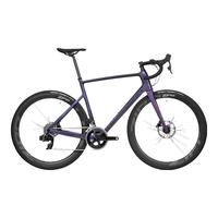 DECATHLON/迪卡侬 全碳纤车架 公路车
