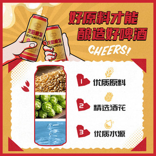 雪花 沈阳啤酒 500ml*12 罐装啤酒