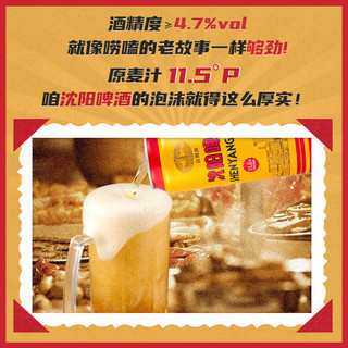 雪花 沈阳啤酒 500ml*12 罐装啤酒