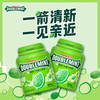 DOUBLEMINT 绿箭 原味薄荷味无糖口香糖果约40粒 绿箭56g