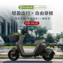 花小马 电动自行车M11H48v24ah星恒锂电采销实测续航对置双缸前碟刹TCS防滑NFC 车架终生质保 玄影苍韵