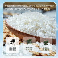 鑫稻田100%五常大米 认准GB/T19266 高端米高品质 黑龙江五常县原产直供 【10KG】五常大米(三标鉴真)-真空锁鲜
