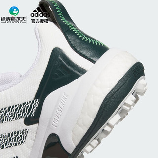 阿迪达斯（adidas）高尔夫球鞋25年 男士运动鞋CODECHAOS 25 BOA舒适缓震防泼水 JI4163 白/绿/色 （系带） 42.5 （UK8.5）