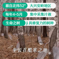 永富 白桦树汁 300ml*6瓶