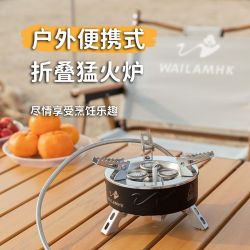 WAILAMHK 炜林户外露营猛火炉分体防风气炉徒步自驾旅游便携炉具折叠燃气炉 分体式WLV3炉送卡式转接头