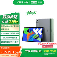 联想 Lenovo 小新Pad Pro 12.7 2025款 平板电脑（2.9K、天玑 8300、12GB、256GB、WiFi版、小青新）