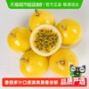 安心有味 钦蜜9号黄金百香果2斤