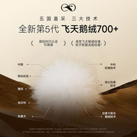 高梵风壳5.0黑金鹅绒服羽绒服25显高显瘦女冬季连帽收腰短外套 鎏金1号 M