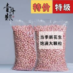 盛泰壹斗粮 当季新货山东大颗粒白沙花生米无壳商用油炸包邮