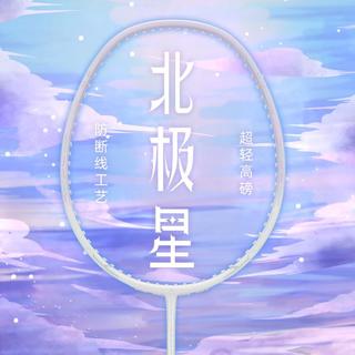 匹克 【打断换新】羽毛球拍双拍套装超轻碳素纤维初学者专业耐打