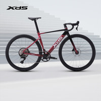 XDS/喜德盛 碳前叉 公路自行车