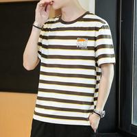 铁狮丹顿 休闲t恤男2025年字母印花条纹男士t恤短袖男式t恤ins