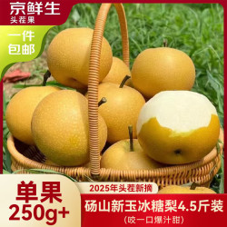 京鲜生 安徽砀山新玉冰糖梨 4.5斤装 单果250g+