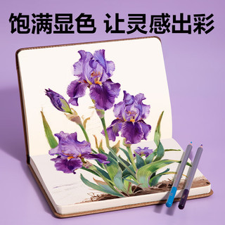 得力 HM459-48 可擦彩铅 48色 原木六角杆带橡皮卷笔刀 彩色铅笔套装