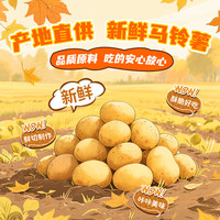 脆升升396g一抱升温晚霞秋冬礼包经典蜂蜜薯条温馨追剧零食 一抱升温晚霞礼包396g