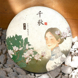 花小茵 白茶传统压制老白茶茶饼陈香 传统茶饼 300g（密封袋）