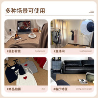摄影棚拍照背景布地毯客厅免洗可擦地垫仿剑麻商用工作室地毯