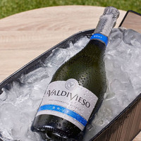 瓦帝维索 Vina Valdivieso 起泡酒 单支装750mL