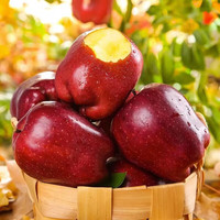 京格甘肃天水苹果新鲜当季现摘粉面苹果不打蜡  拍2份合发一箱 精选天水苹果 4.5斤装净重4.25斤单果80-90mm