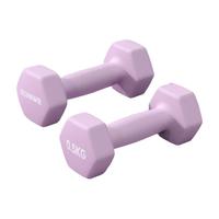 朗威哑铃女士家用器材儿童男士力量训练锻炼青少年小哑铃专业塑形 紫色 1KG *2