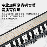 天鹅牌口风琴37键32儿童小成人初中生全乐理专业演奏级