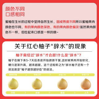 京觅福建红心蜜柚 生鲜水果 红心柚子 单果900g起  源头直发
