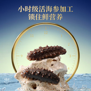 京东京造×宫里的世界 大连有机冷冻即食海参王500g*3 共15-21只 礼盒 【故宫·有机】海参1.5kg15-21只