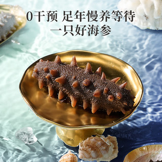 京东京造×宫里的世界 大连有机冷冻即食海参王500g*3 共15-21只 礼盒 【故宫·有机】海参1.5kg15-21只