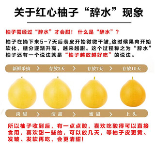 京地达福建红心蜜柚净重8斤礼盒装单果1000g+柚子中秋源头直发 8斤礼盒装|大果1000g+|优选