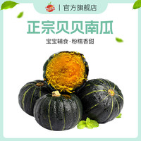 自然搭档 贝贝南瓜 粉面香甜小南瓜 新鲜蔬菜香甜软糯产地直发 净重 3斤 （3-6个）