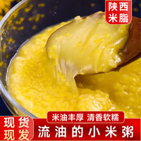 陕北米脂小米黄小米1饭店小米粥杂粮饭小米饼益康优质食用当季