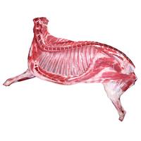 西鲜汇甘肃滩羊 半羊分割10斤 礼盒装 羊肉生鲜烧烤食材 源头直发