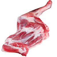 西鲜汇甘肃滩羊 整只羊前腿净重3斤 羊肉生鲜炖煮煲汤火锅食材 滩羊前腿整根3斤