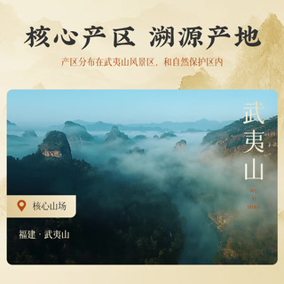 正山小种红茶特级武夷山核心产区500g礼盒 双罐装 中秋高端  【国风瓷罐】正山小种礼盒装500g