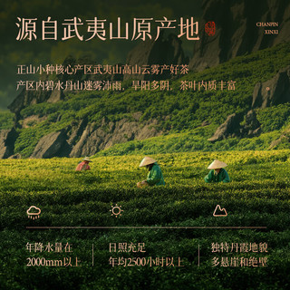 正山小种红茶特级武夷山核心产区500g礼盒 双罐装 中秋高端  【国风瓷罐】正山小种礼盒装500g