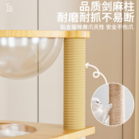 猫爬架猫抓板猫窝猫树一体太空舱通天柱室内剑麻玩具猫咪用品逗猫 【喵桂圆01】太空舱 +猫抓柱+逗猫球,多猫适用