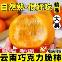 百亿补贴：共雅 云南巧克力脆柿 100g*3+30g*2