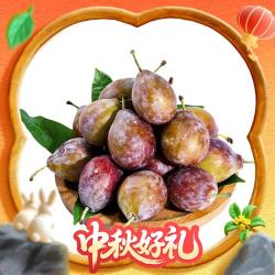京鲜生 新疆法兰西西梅 净重3斤（单果18g+）