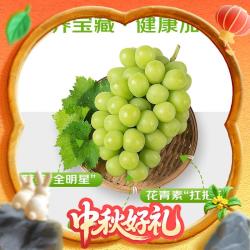 中秋提串礼！京鲜生 大果阳光玫瑰青提 净重4.5斤 礼盒装（单果10g+）