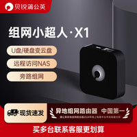 蒲公英路由 蒲公英X1私有云盒子异地组网NAS伴侣内网穿透移动硬盘变云盘路由器无需公网IP局域网远程访问PLC网络存储家用
