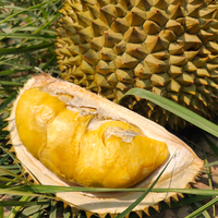 晨臻泰国金枕榴莲鲜果 精选榴莲新鲜水果 软糯香甜 榴莲 4-5斤金枕榴莲（1-2个）