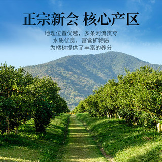 勐昌號 新会陈皮普洱熟茶 250g 罐装