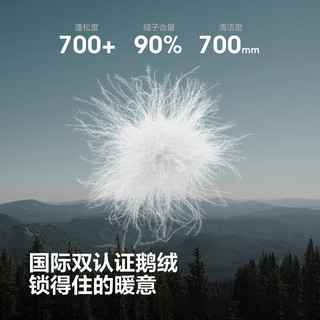 波司登（BOSIDENG）2590鹅绒轻薄羽绒服女短款立领轻量保暖外套B250131046 山岩米|7C98 M 165/88A 体重约110-120斤