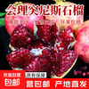 巴蜀 四川会理突尼斯软籽石榴 1斤带箱装