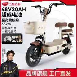 五星钻豹 48V 20AH新国标电动自行车 源彩棕 续航65km