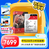 希捷 NAS硬盘 30TB 512MB 7200转 PMR CMR垂直技术 酷狼 IronWolf Pro ST30000NT011