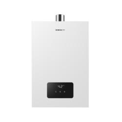 老板 燃气热水器14升大水量小体积精准控温家用洗强鼓防冻HT616A-14 14L