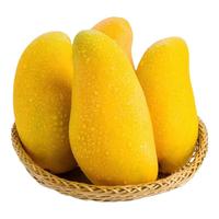 萧鲜生精选凯特芒果生鲜水果新鲜采摘大芒果大脸芒整箱 特选凯特芒果 8.5-9斤 (单果600g+)特大果